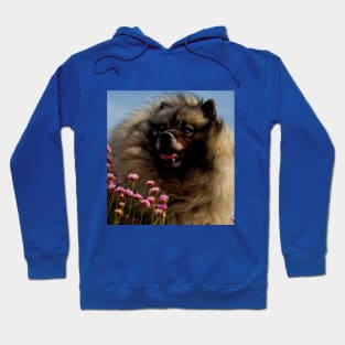 Keeshond and Sea Thrift Hoodie